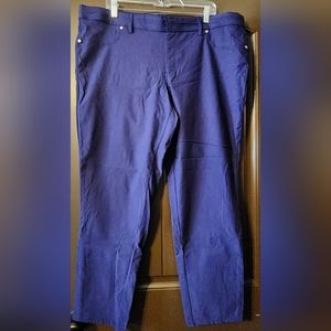 Blue stretchy pants. Size 24W